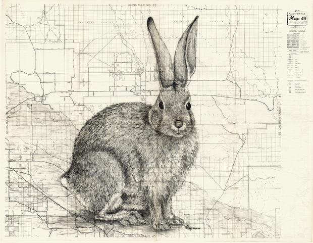 Joshua Tree Cottontail on a vintage camping map containing Joshua Tree California